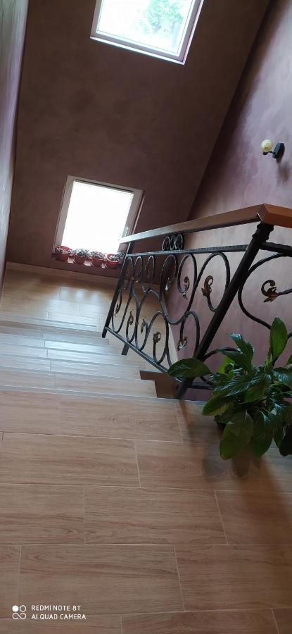 Apartmani Aleksijevic Златибор Экстерьер фото